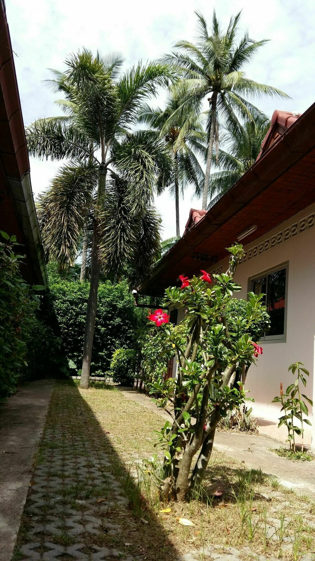 Saver Guesthouse Chaweng Beach Exteriör bild